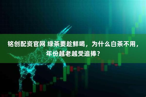 铭创配资官网 绿茶要趁鲜喝，为什么白茶不用，年份越老越受追捧？