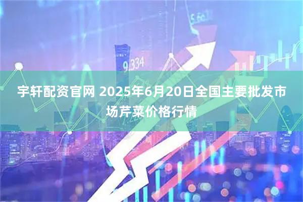 宇轩配资官网 2025年6月20日全国主要批发市场芹菜价格行情