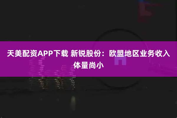 天美配资APP下载 新锐股份：欧盟地区业务收入体量尚小