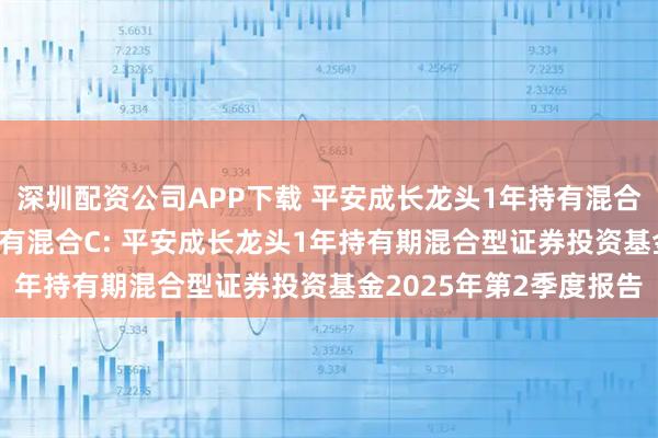 深圳配资公司APP下载 平安成长龙头1年持有混合A,平安成长龙头1年持有混合C: 平安成长龙头1年持有期混合型证券投资基金2025年第2季度报告