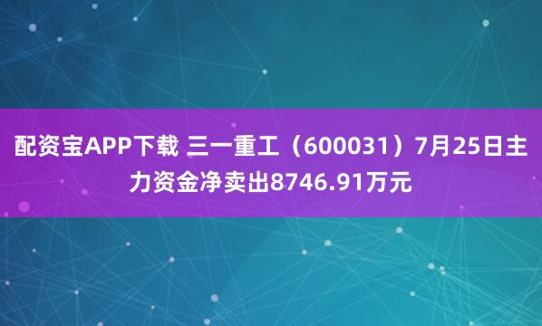 配资宝APP下载 三一重工（600031）7月25日主力资金净卖出8746.91万元