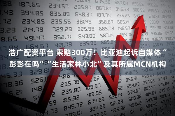 浩广配资平台 索赔300万！比亚迪起诉自媒体“彭彭在吗”“生活家林小北”及其所属MCN机构